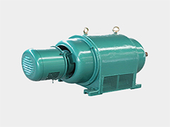 高壓鼠籠型轉(zhuǎn)子電動機